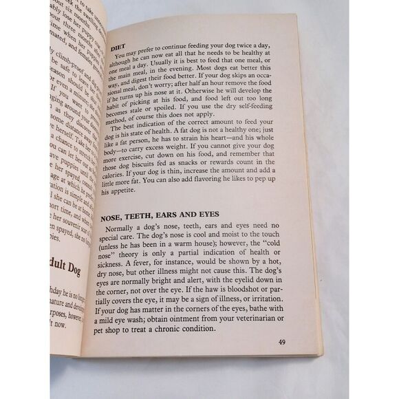 How to Raise and Train a Siberian Husky Paperback Lorna B. Demido 1983 - Picture 13 of 13